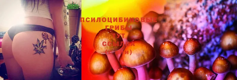 Галлюциногенные грибы Magic Shrooms  Ступино 